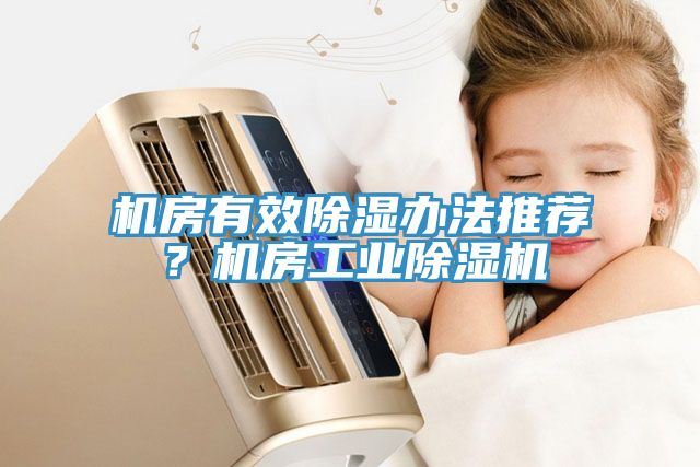 機房有效除濕辦法推薦？機房工業除濕機