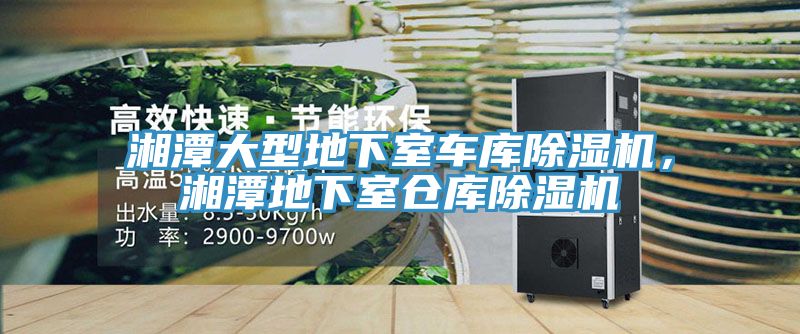 湘潭大型地下室車庫除濕機，湘潭地下室倉庫除濕機