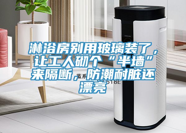 淋浴房別用玻璃裝了，讓工人砌個“半墻”來隔斷，防潮耐臟還漂亮