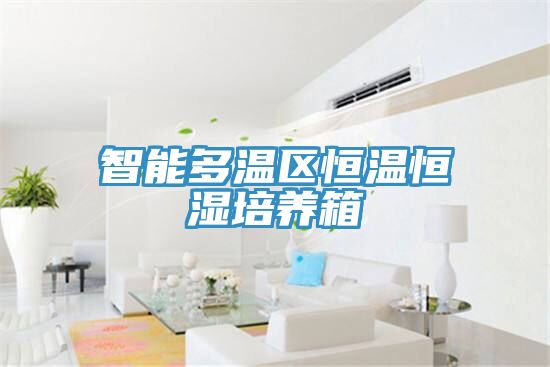 智能多溫區恒溫恒濕培養箱