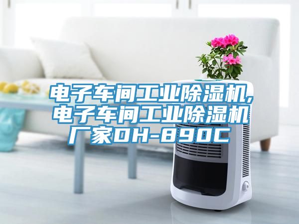 電子車間工業除濕機,電子車間工業除濕機廠家DH-890C