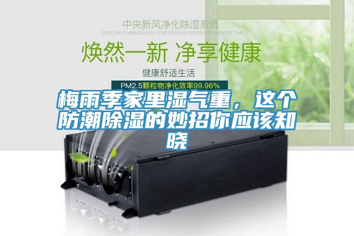 梅雨季家里濕氣重，這個防潮除濕的妙招你應該知曉