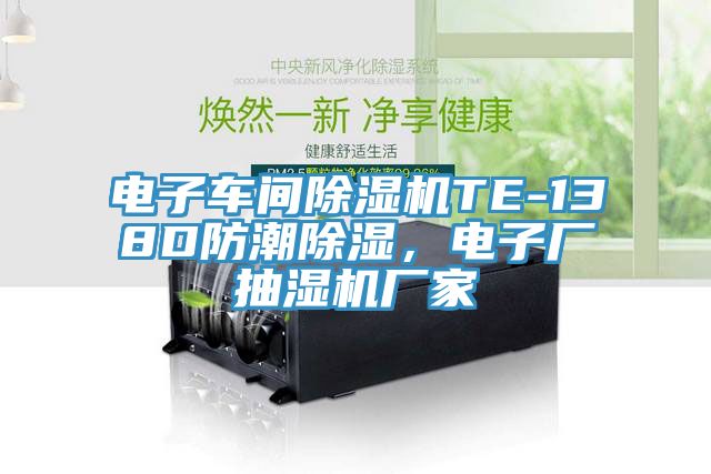 電子車間除濕機TE-138D防潮除濕，電子廠抽濕機廠家