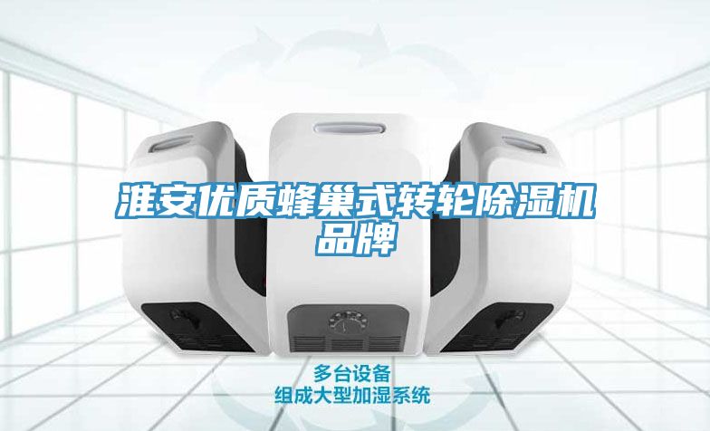 淮安優質蜂巢式轉輪除濕機品牌