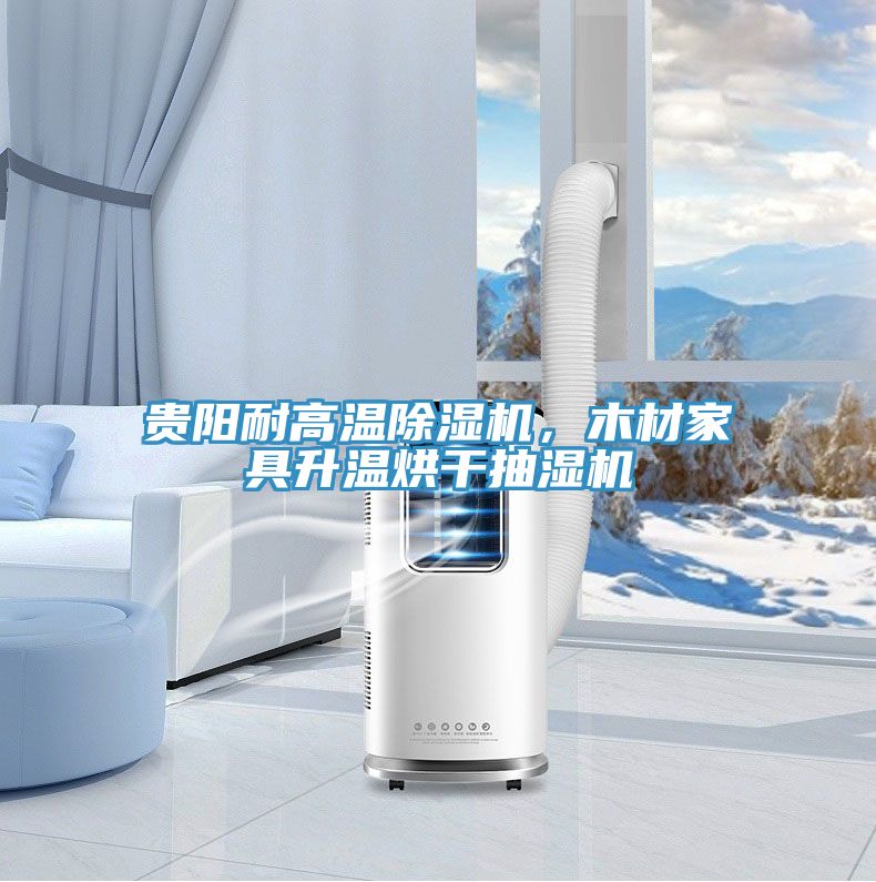 貴陽耐高溫除濕機，木材家具升溫烘干抽濕機