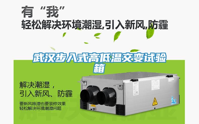 武漢步入式高低溫交變?cè)囼?yàn)箱