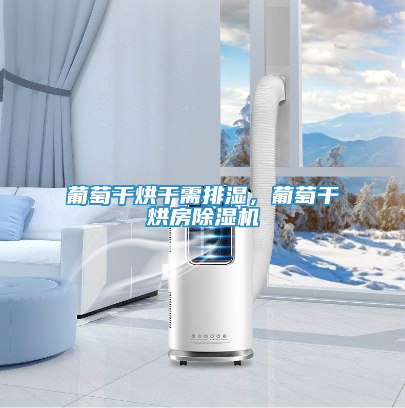 葡萄干烘干需排濕，葡萄干烘房除濕機