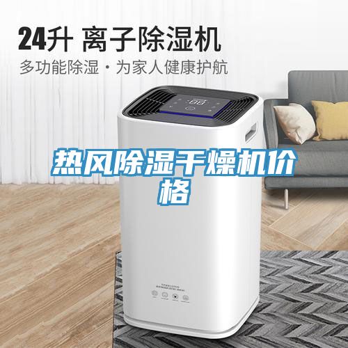 熱風(fēng)除濕干燥機價格