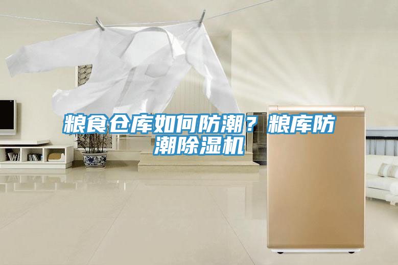 糧食倉庫如何防潮？糧庫防潮除濕機