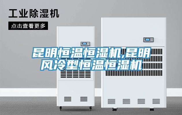 昆明恒溫恒濕機(jī),昆明風(fēng)冷型恒溫恒濕機(jī)