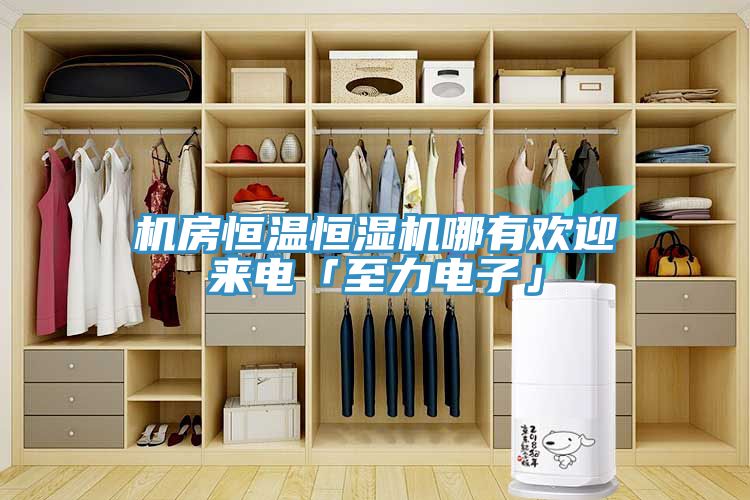 機(jī)房恒溫恒濕機(jī)哪有歡迎來電「至力電子」