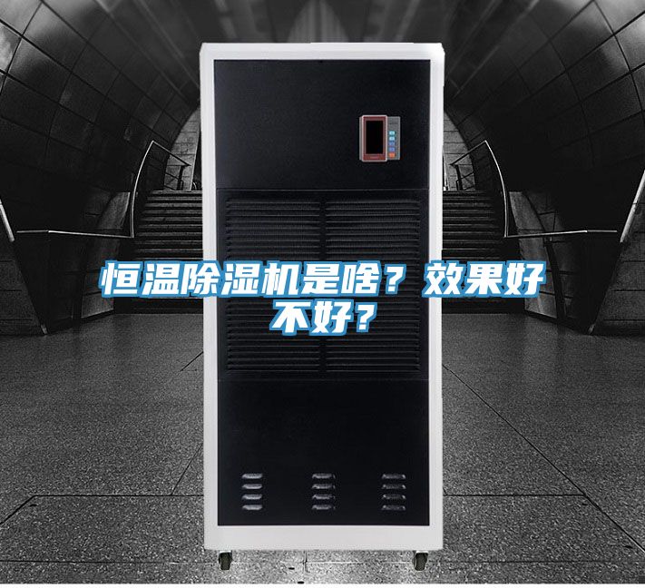 恒溫除濕機是啥？效果好不好？