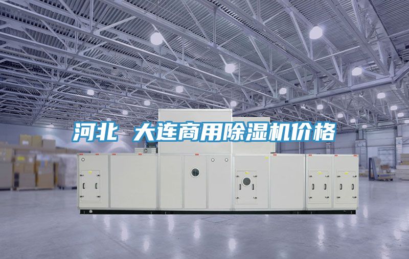 河北 大連商用除濕機價格