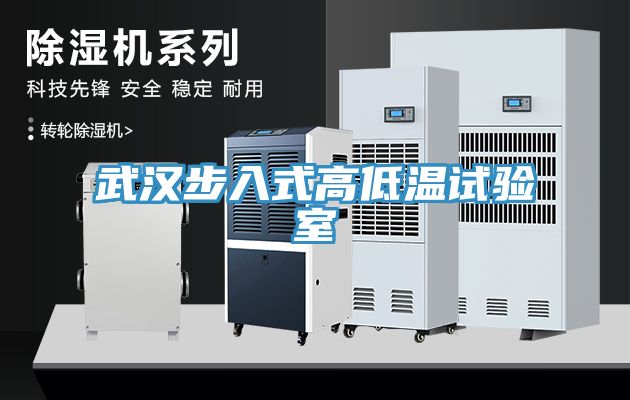 武漢步入式高低溫試驗(yàn)室