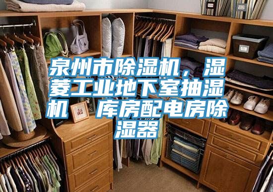 泉州市除濕機，濕菱工業(yè)地下室抽濕機  庫房配電房除濕器