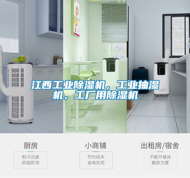 江西工業除濕機，工業抽濕機，工廠用除濕機