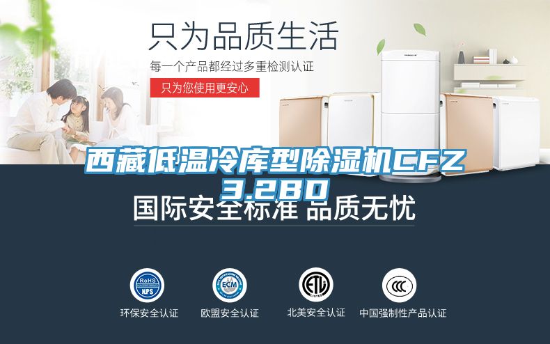 西藏低溫冷庫型除濕機CFZ3.2BD