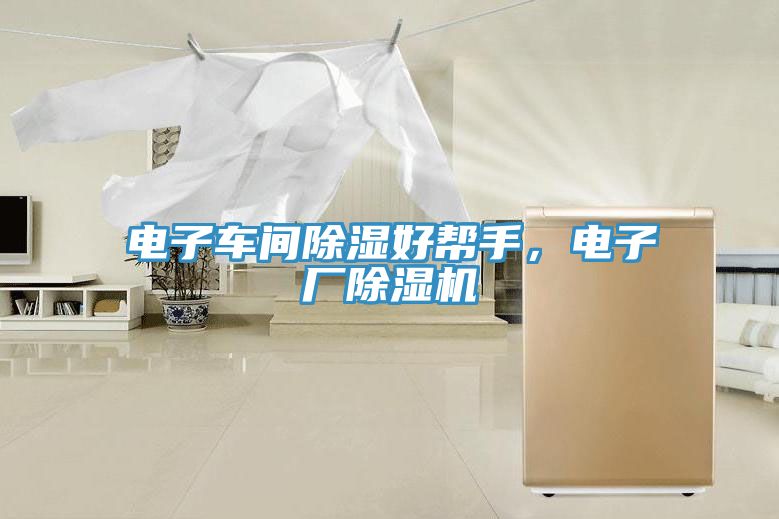 電子車(chē)間除濕好幫手,電子廠除濕機(jī)