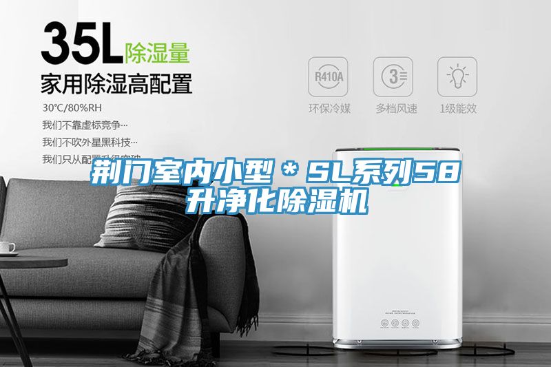 荊門室內小型＊SL系列58升凈化除濕機