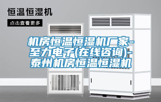 機(jī)房恒溫恒濕機(jī)廠家-至力電子(在線咨詢)-泰州機(jī)房恒溫恒濕機(jī)