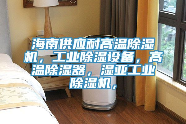 海南供應耐高溫除濕機，工業除濕設備，高溫除濕器，濕亞工業除濕機，
