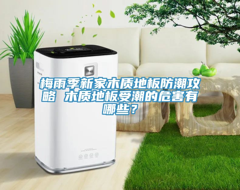 梅雨季新家木質地板防潮攻略 木質地板受潮的危害有哪些？