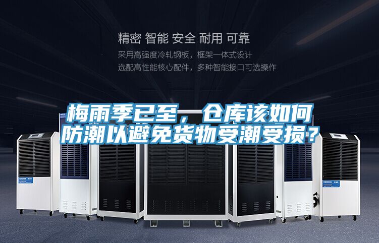 梅雨季已至，倉庫該如何防潮以避免貨物受潮受損？