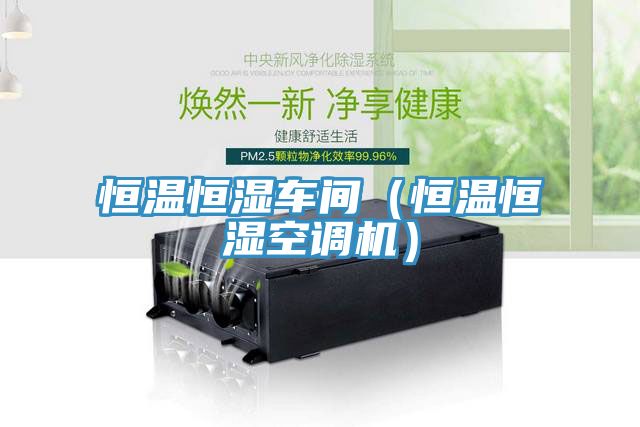 恒溫恒濕車間（恒溫恒濕空調機）