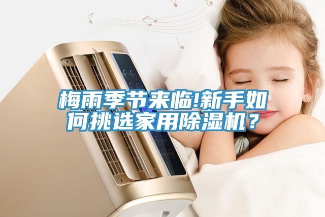 梅雨季節來臨!新手如何挑選家用除濕機？