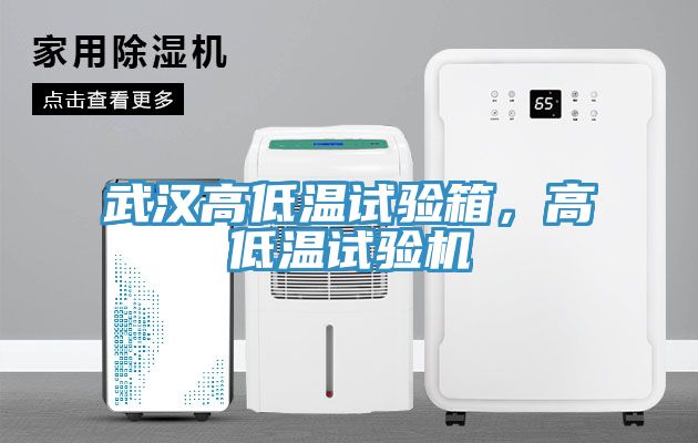 武漢高低溫試驗箱,高低溫試驗機