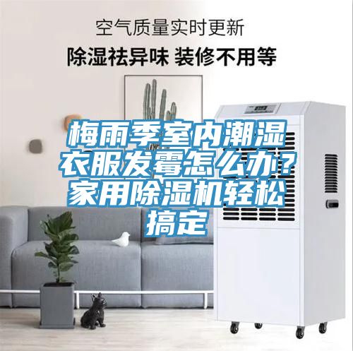 梅雨季室內潮濕衣服發霉怎么辦？家用除濕機輕松搞定