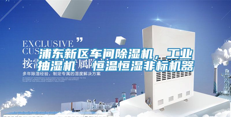 浦東新區車間除濕機，工業抽濕機  恒溫恒濕非標機器