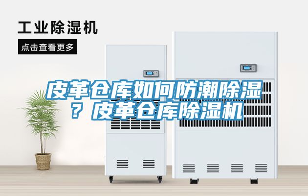 皮革倉(cāng)庫(kù)如何防潮除濕？皮革倉(cāng)庫(kù)除濕機(jī)