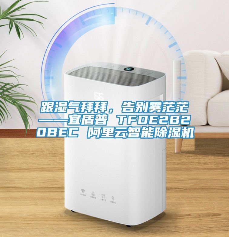 跟濕氣拜拜，告別霧茫茫——宜盾普 TFDE2B20BEC 阿里云智能除濕機(jī)