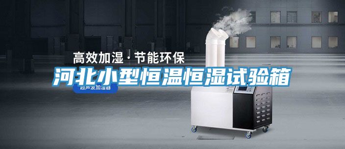 河北小型恒溫恒濕試驗(yàn)箱
