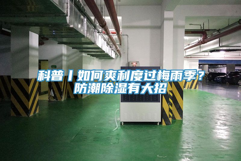 科普丨如何爽利度過梅雨季?防潮除濕有大招