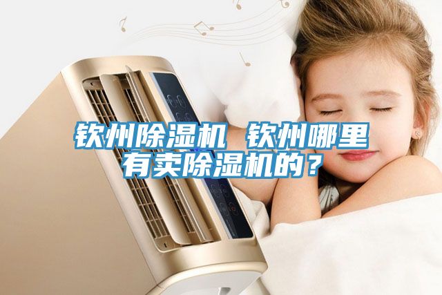 欽州除濕機 欽州哪里有賣除濕機的?