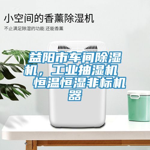 益陽市車間除濕機(jī)，工業(yè)抽濕機(jī)  恒溫恒濕非標(biāo)機(jī)器