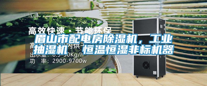 眉山市配電房除濕機，工業抽濕機  恒溫恒濕非標機器