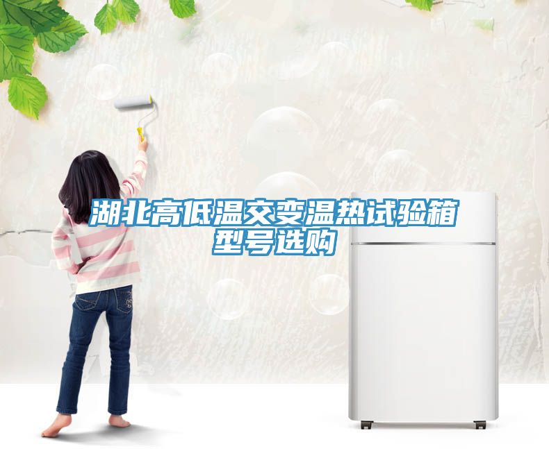 湖北高低溫交變溫?zé)嵩囼炏湫吞栠x購