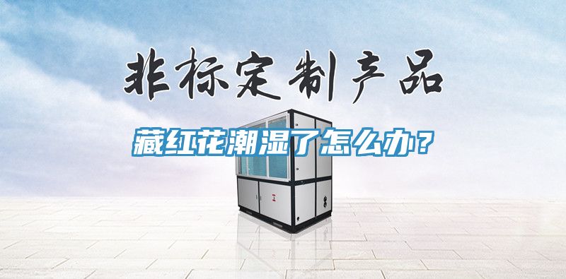 藏紅花潮濕了怎么辦？