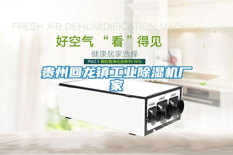 貴州回龍鎮工業除濕機廠家