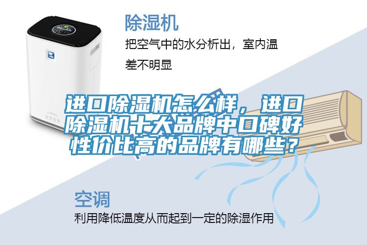 進口除濕機怎么樣，進口除濕機十大品牌中口碑好性價比高的品牌有哪些？