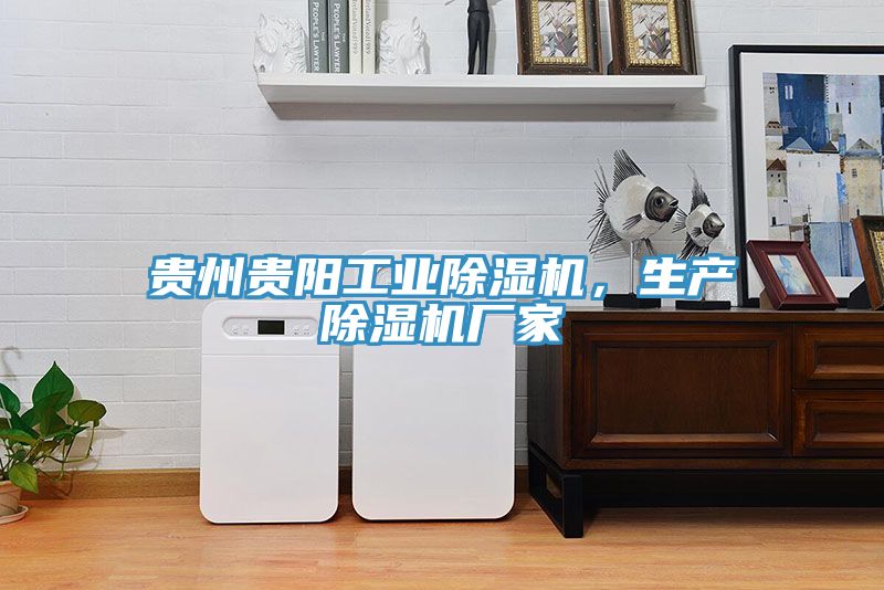 貴州貴陽工業除濕機，生產除濕機廠家