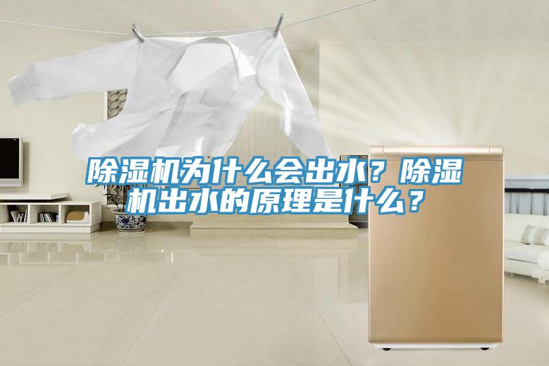 除濕機為什么會出水？除濕機出水的原理是什么？