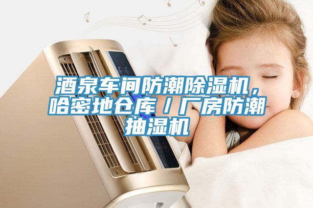 酒泉車間防潮除濕機，哈密地倉庫／廠房防潮抽濕機