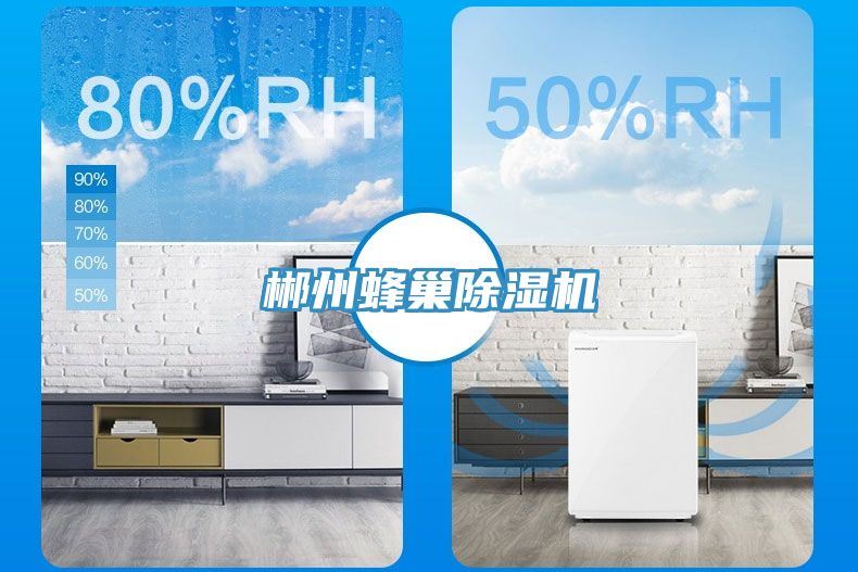 郴州蜂巢除濕機
