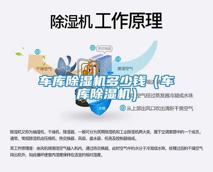 車庫除濕機多少錢（車庫除濕機）