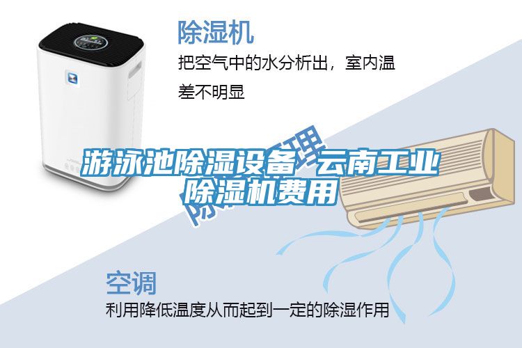 游泳池除濕設(shè)備 云南工業(yè)除濕機(jī)費(fèi)用
