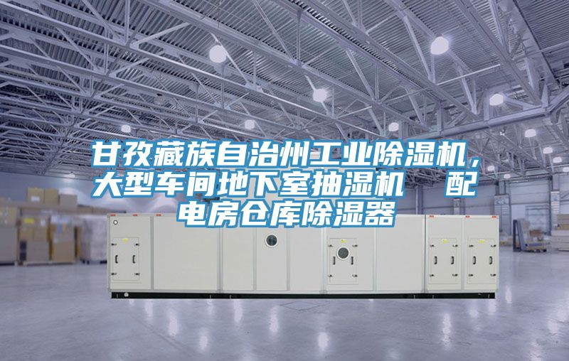 甘孜藏族自治州工業(yè)除濕機(jī)，大型車(chē)間地下室抽濕機(jī)  配電房倉(cāng)庫(kù)除濕器